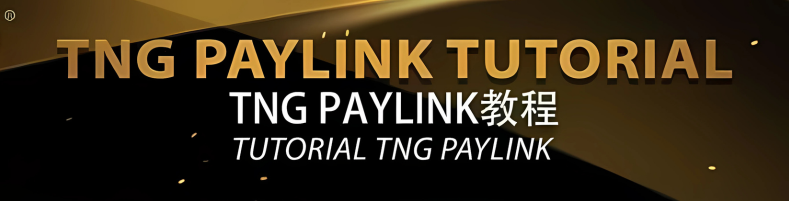 tng-paylink-t